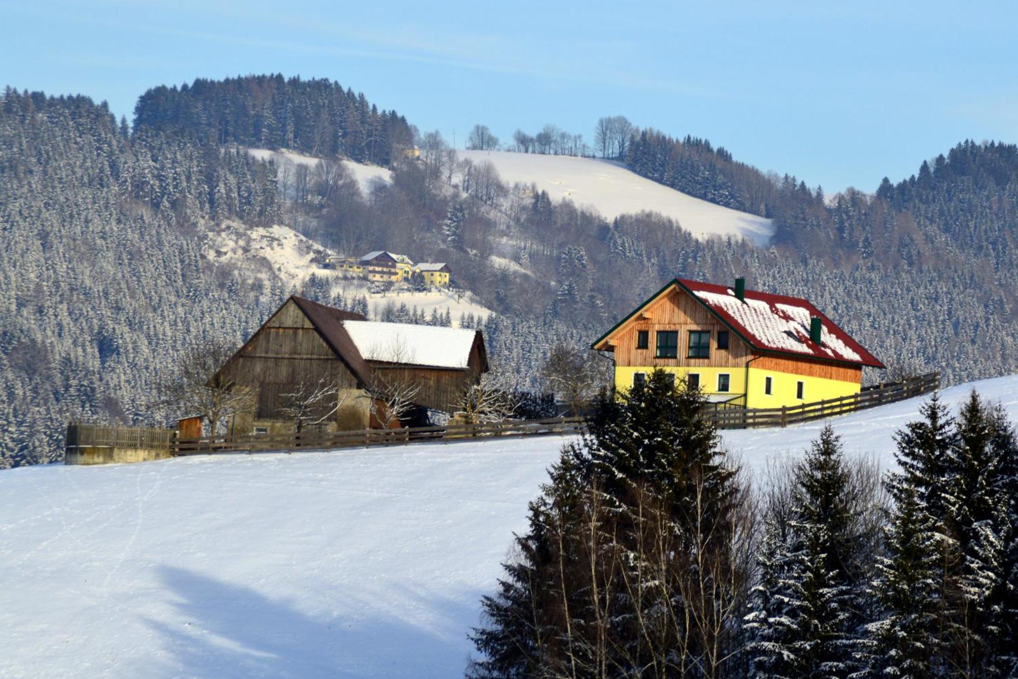 Almferienhaus Russmann Frantschach Kültér fotó