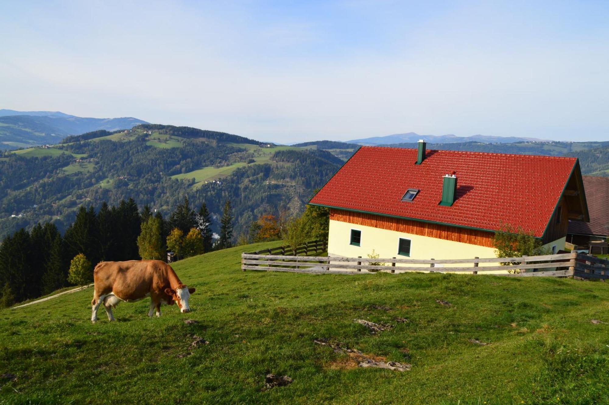 Almferienhaus Russmann Frantschach Kültér fotó